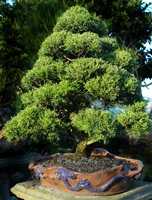 下松市イメージ