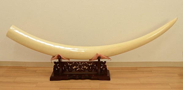 象牙製品 一本牙