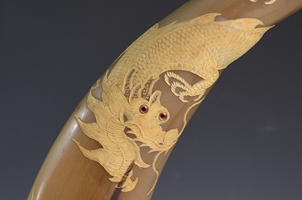 水牛角 龍